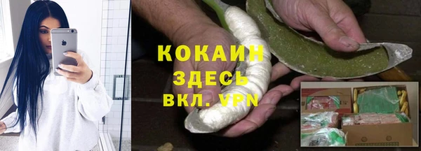 стафф Алзамай