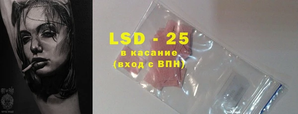 стафф Алзамай