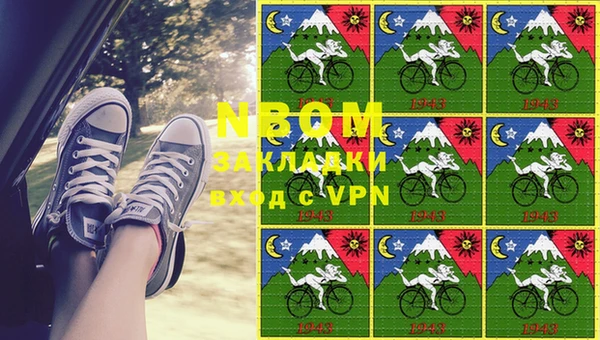 стафф Алзамай