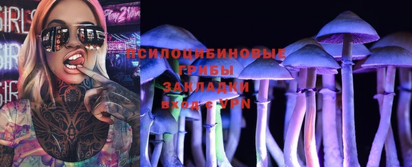 стафф Алзамай