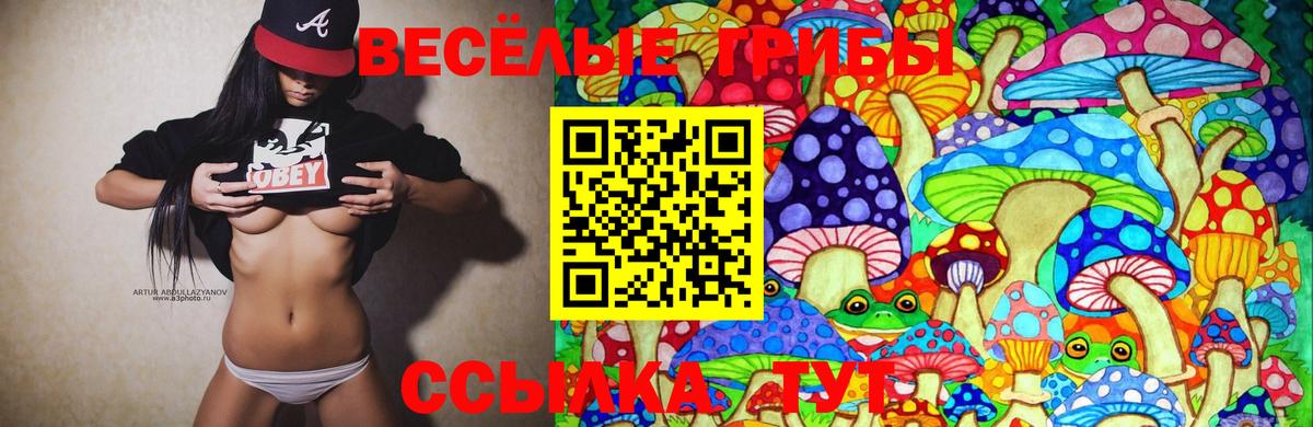 Псилоцибиновые грибы Psilocybine cubensis Геленджик